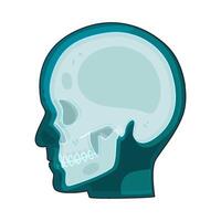 human head x-ray vector