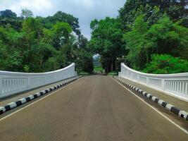 Serene Bridge Pathway Lush Greenery and Classic Architecture photo