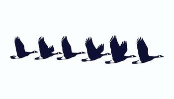 group of flying geese illustration, geese silhouette set art vector