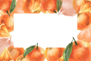 Orange fruits watercolor banner template with copy space. Hand drawn tropical fruit frame, pieces and slices of mandarin and clementine clipart for card,poster design png