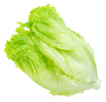 Lettuce leaf isolated, Green leaves pattern, Salad ingredient png