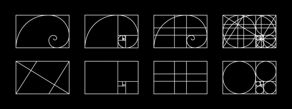 Set of golden ratio templates. Nautilus shell in rectangle frame divided on lines, squares and circles. Fibonacci sequence grids. Ideal nature symmetry proportions layouts. illustration vector
