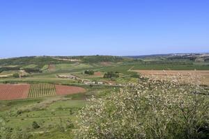 Scenic view of the valley from the wall of fortress of Obidos, Portugal. Plowed fields and trees. Portuguese village. photo