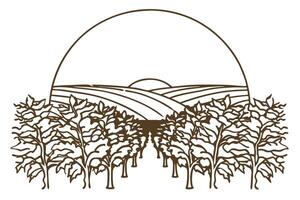 Orchard landscape line art with trees and sunrise rural farmland, cultivated agriculture, nature scene illustration vector