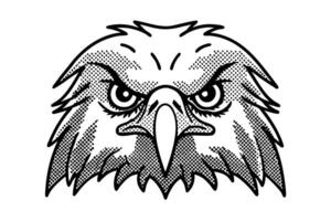Fierce eagle head illustration angry bird face, bold outline, retro comic sketch, intense eyes, predator beak vector