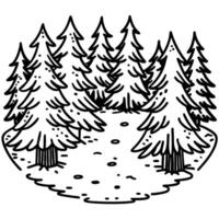 Dense evergreen pine trees, forest glade hand drawn coniferous woodland, lush nature illustration vector