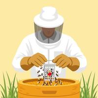 Beekeeper Working with Honeycomb Hive and Bees in Protective Suit on Yellow Background vector