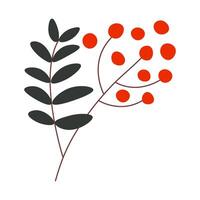 Rowan berry in simple flat style. Autumn isolated element for design. vector