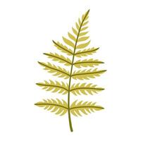 Green fern leaf branch isolated on white background. Simple autumn fall leaf for pattern, banner, sticker. Hello autumn card. Flat illustration. vector