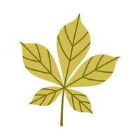Green chestnut leaf isolated on white background. Simple autumn fall leaf for pattern, banner, sticker. Hello autumn card. Flat illustration. vector