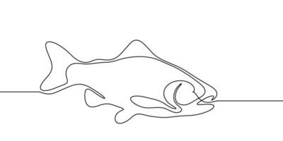 Fish salmon line continuous art icon tuna drawing trout seafood. Salmon fish line simple one hand outline illustration water type food hook linear sea fin pond day sketch silhouette logo ocean. vector