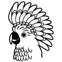 Cockatoo bird illustration with detailed crest black and white outline drawing of exotic parrot head for coloring or education vector