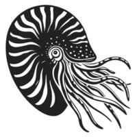 Nautilus shell with detailed tentacles, intricate marine mollusk illustration in black and white, vintage oceanic art vector