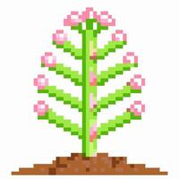 pixel art blooming flower with green stem and pink blossoms, retro digital design plant on soil, 8 bit nature element vector