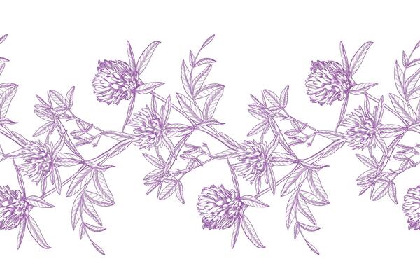Seamless border of clovers. Meadow flower ink illustration. Handmade ink art work.