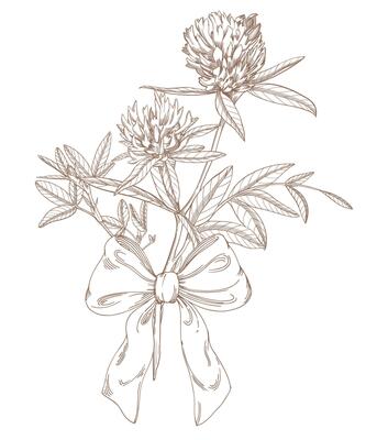 Clover and bow. Handmade ink illustration6