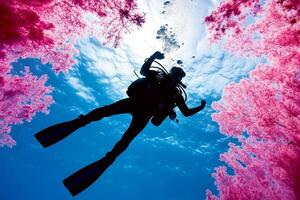 A scuba diver in front of pink trees photo