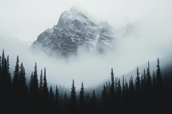 A mountain covered in fog with trees in the foreground