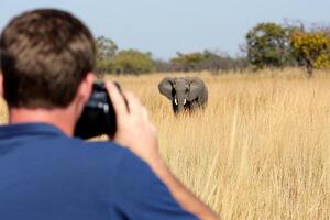 A man taking a picture of an elephant in a field photo