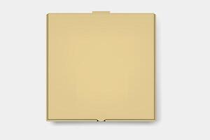 Brown pizza box for takeout vector