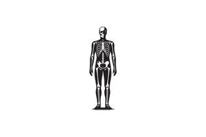 A black and white illustration of skeleton vector