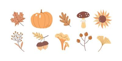 Cute Hand Drawn Autumn Clipart Set Pumpkin, Mushrooms, Leaves, Acorn and Fall Botanical Elements vector