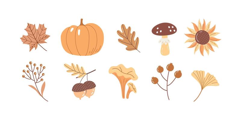 Cute Hand Drawn Autumn Clipart Set Pumpkin, Mushrooms, Leaves, Acorn and Fall Botanical Elements