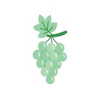 Cute hand drawn illustration of green grapes in hand drawn style. Fresh, minimal, and fun. Perfect for prints, packaging, and healthy food themes. vector