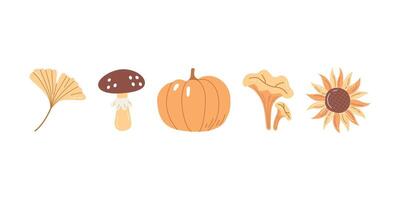 Hand Drawn Autumn Harvest Set Pumpkin, Mushroom, Sunflower, Ginkgo Leaf and Chanterelle Illustration vector