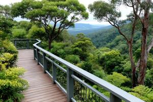 Wooden walkway overlooking lush green valley in rainforest photo