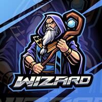 Wizard holding a mystical staff vector