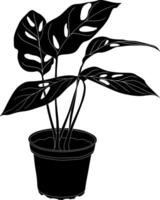 Silhouette of Monstera Plant in a Pot vector