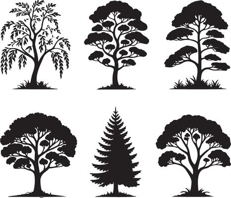 Six distinct silhouette trees in black and white