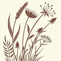 Delicate brown wildflowers and grasses illustration on cream background vector