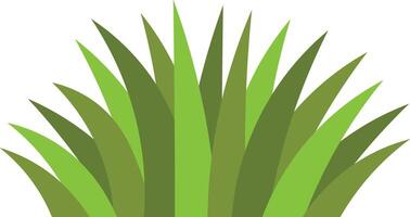 Grass Border Decorative on White Background. vector