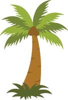 Tropical Palm Trees Illustration with Cartoon Design. vector