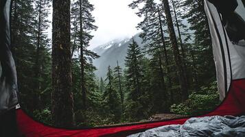 Waking up to the majestic view from a cozy forest tent. photo