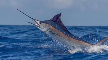 Majestic Blue Marlin Leaps from Ocean Waves Creating a Water Splash. photo