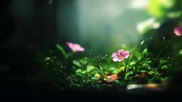 Delicate Pink Flower in Dewy Greenery with Soft Morning Light. photo