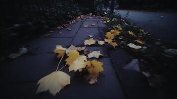 Fallen Yellow Leaves on a Dark Wet Pavement Path in Autumn. photo