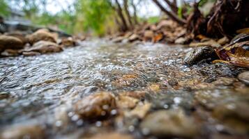 Gentle Stream Flowing Over Smooth Rocks in a Forest Setting. photo