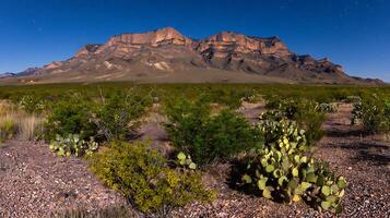 Majestic Mountains Under a Starry Night Sky in the Desert. photo