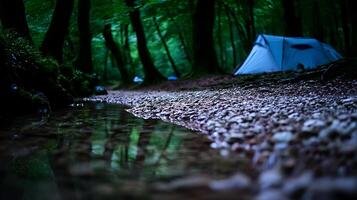 Serene Forest Camping with a Stream and Tent at Dusk. photo
