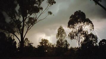 Majestic lightning strikes illuminate the stormy night sky over trees. photo