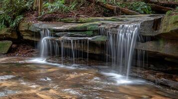 Serene Forest Waterfall Cascading Over Moss Covered Rocks. photo