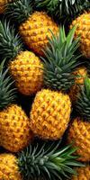 Ripe pineapples with green leaves sitting in a large pile photo