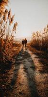People walking along a path at sunset in late autumn photo