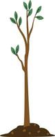 Young Tree with Leaves vector