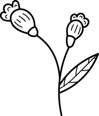 Flower Line Art with Two Buds
