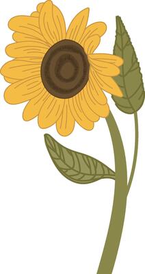 Sunflower with Leaves Flower